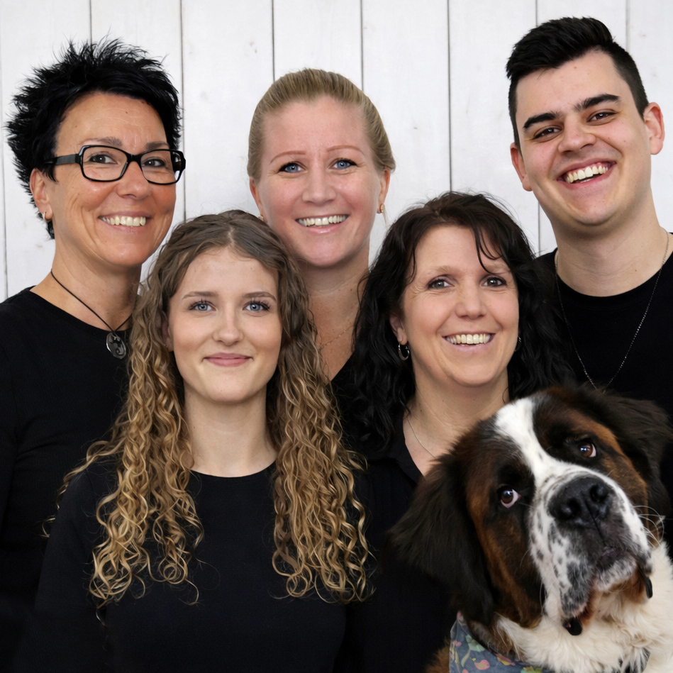 Team Werbewerkstatt Husum team Schafe